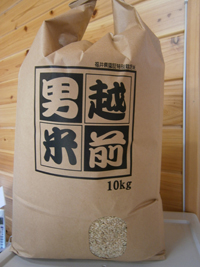越前男米(コシヒカリ玄米)
